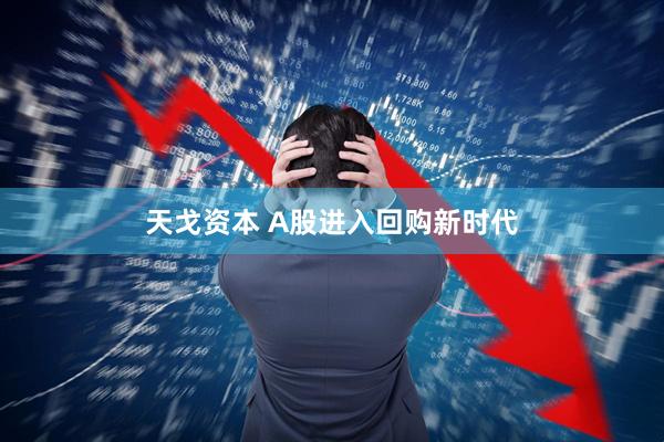 天戈资本 A股进入回购新时代