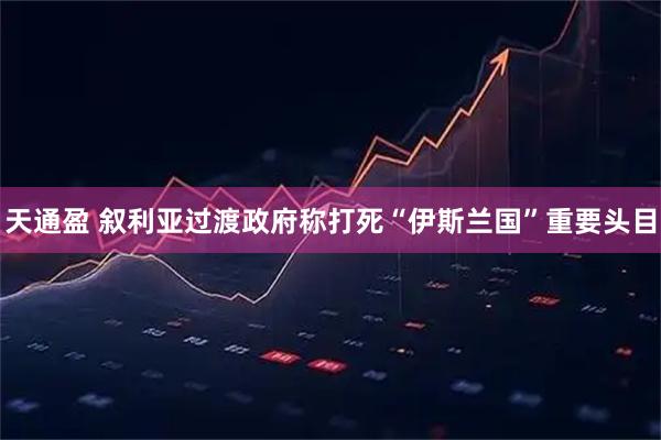 天通盈 叙利亚过渡政府称打死“伊斯兰国”重要头目