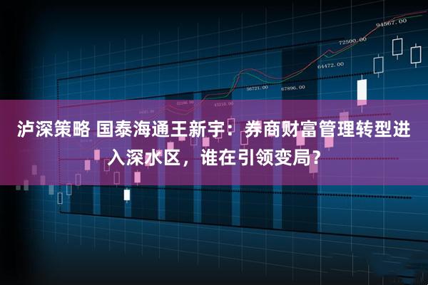泸深策略 国泰海通王新宇：券商财富管理转型进入深水区，谁在引领变局？